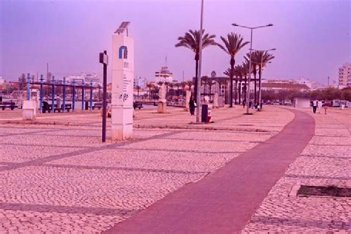 Amelia, 34 — Escort in Ribeirinha, Portugal