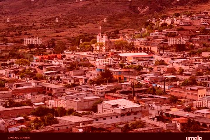 Amelia, 34 — Escort in San Miguel del Guaricho, Mexico
