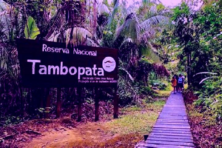 Amelia, 34 — Escort in Tambopata, Peru
