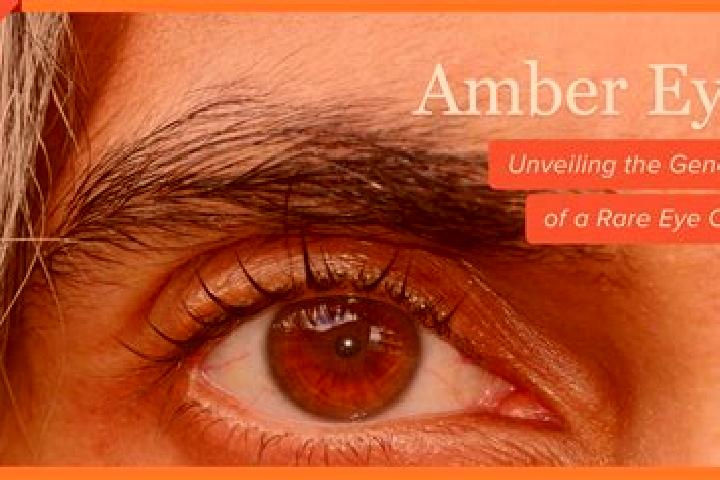 Amelia, 35, a black amber-eyed middle eastern companion based in Olszanka. Offering Duos, Domination, Couples, Striptease, Massage. Available for incall and ...