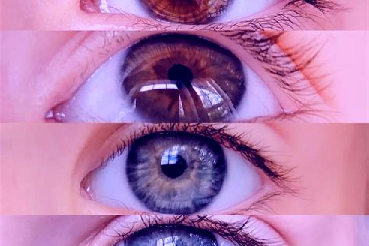 Amelia, 35, a chestnut amber-eyed mixed companion based in Houtain-le-Val. Offering Overnight, Erotic Massage, GFE. Available for incall and outcall, overnig...