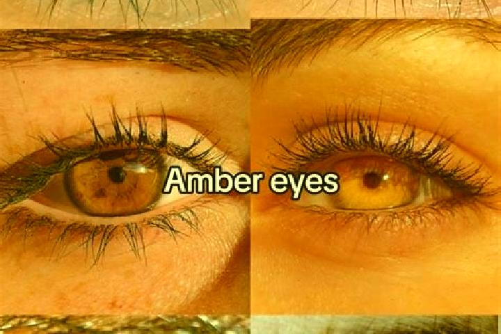 Amelia, 35, a chestnut amber-eyed slavic companion based in Uralla. Offering Dinner Date, Overnight, Fetish, Domination, OWO. Available for incall and outcal...