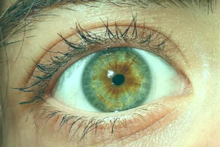 Amelia, 35, a red hazel-eyed asian companion based in Mazingarbe. Offering 69, BDSM, Tantra. Available for incall and outcall, overnight bookings available.