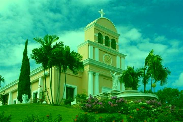 Amelia, 35 — Escort in Hormigueros, Puerto Rico