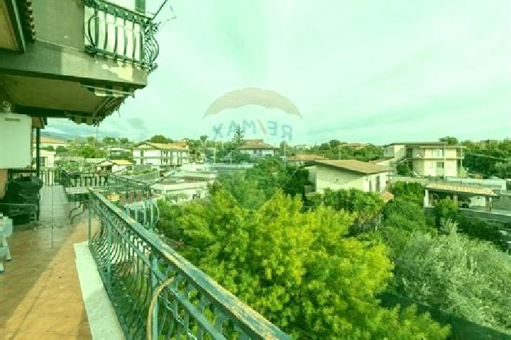 Amelia, 35 — Escort in San Pietro Clarenza, Italy