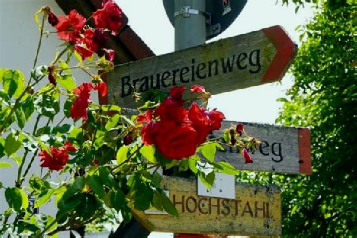 Amelia, 36 — Escort in Aufsess, Germany