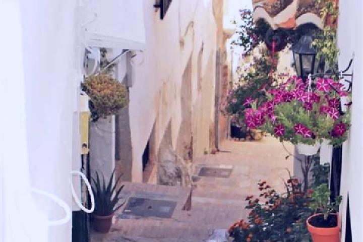 Amelia, 36 — Escort in Canillas de Abajo, Spain