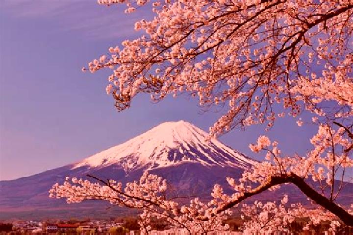 Amelia, 36 — Escort in Koshi, Japan