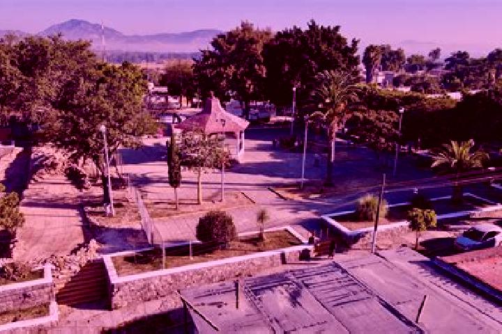 Amelia, 36 — Escort in La Loma de los Negritos, Mexico