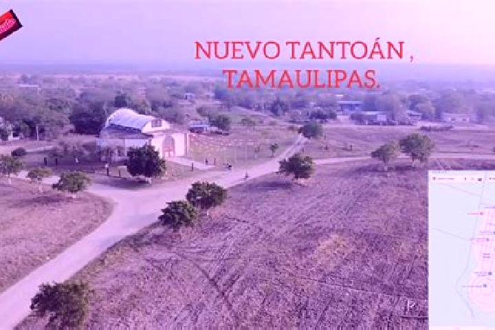 Amelia, 36 — Escort in Nuevo Tantoan, Mexico