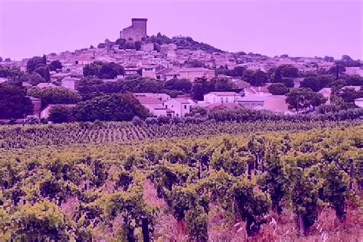 Amelia, 37 — Escort in Chateauneuf-du-Pape, France