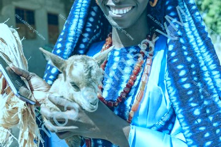 Amelia, 37 — Escort in Sinchu Alagi, Gambia