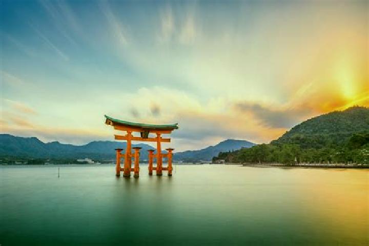 Amelia, 37 — Escort in Yorii, Japan