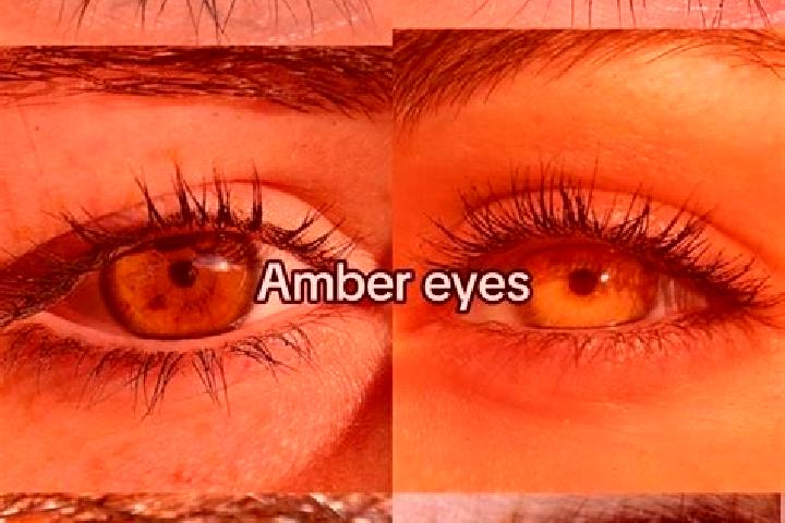 Amelia, 38, a chestnut amber-eyed asian companion based in Merceuil. Offering Massage, Tantra, Couples. Available for incall and outcall, day and evening dates.