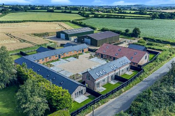 Amelia, 38 — Escort in Donaghcloney, United Kingdom