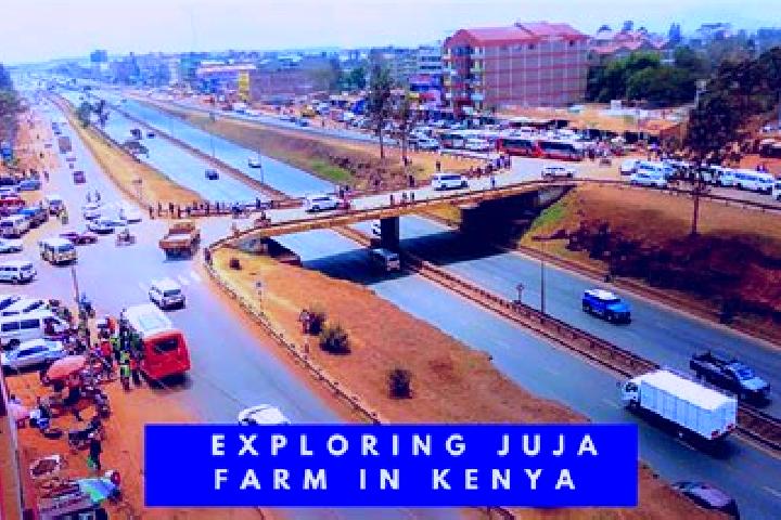 Amelia, 38 — Escort in Juja, Kenya