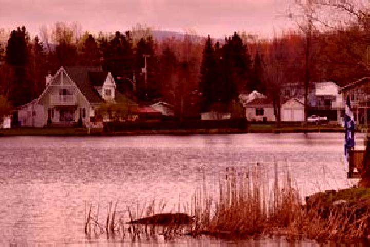 Amelia, 38 — Escort in Roxton Pond, Canada