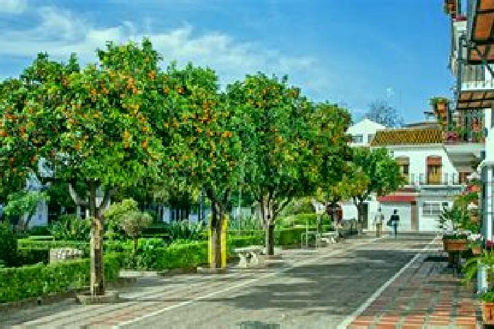 Amelia, 38 — Escort in San Pedro de los Naranjos, Mexico