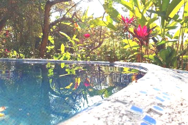 Amelia, 38 — Escort in Santa Rosa Treinta, Mexico