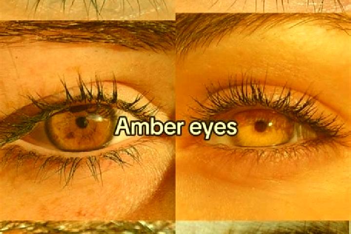 Amelia, 39, a brunette amber-eyed asian companion based in Auersbach. Offering Domination, CIM, Deep French Kissing, Party Girl, Prostate Massage. Available ...