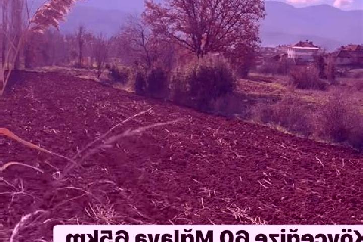 Amelia, 39 — Escort in Beyagac, Turkey