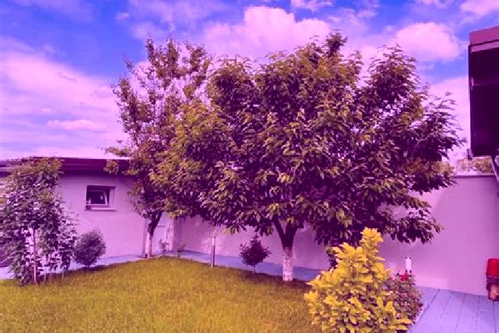 Amelia, 39 — Escort in Bolintin Deal, Romania