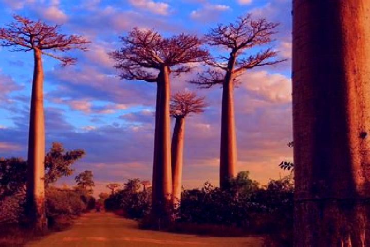 Amelia, 39 — Escort in Morondava, Madagascar