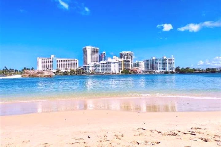 Amelia, 39 — Escort in Playita Cortada, Puerto Rico