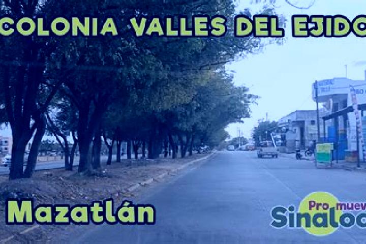 Amelia, 39 — Escort in San Martin Ejido, Mexico