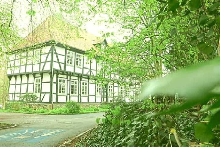 Amelia, 39 — Escort in Stift Quernheim, Germany