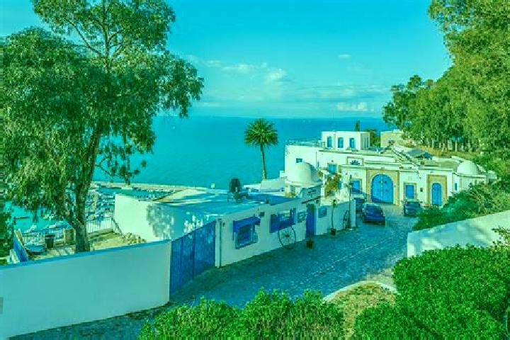 Aria, 20, a chestnut grey-eyed european companion based in Sidi Bou Said. Offering Tantra, Dinner Date, Erotic Massage. Available for incall and outcall, day...