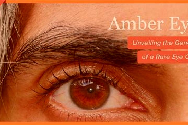 Aria, 20, a red amber-eyed european companion based in Kot Isa Khan. Offering Massage, OWO, Overnight, Party Girl. Available for incall and outcall, overnigh...