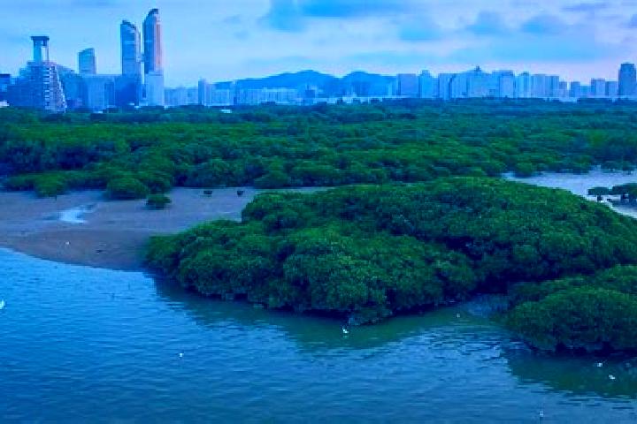 Aria, 20 — Escort in Danshui, China