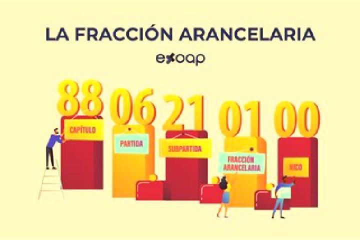 Aria, 20 — Escort in Fraccion las Palmas, Mexico