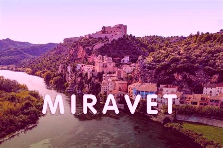 Aria, 20 — Escort in Miravet, Spain