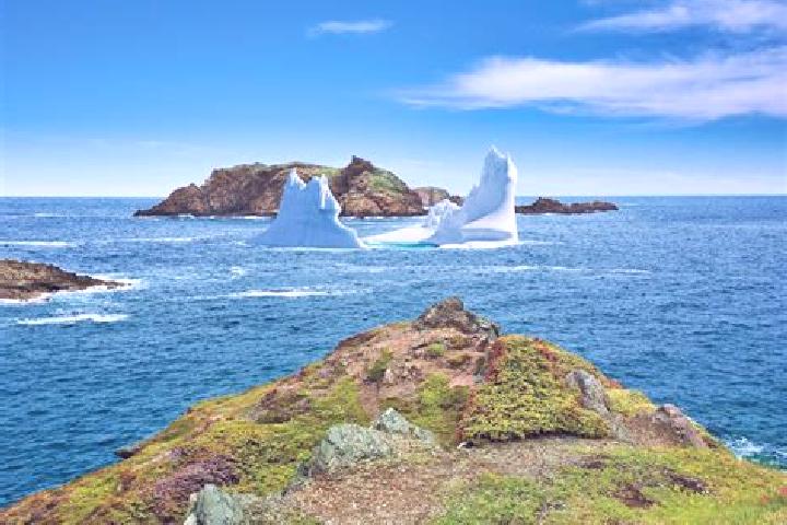 Aria, 20 — Escort in Twillingate, Canada