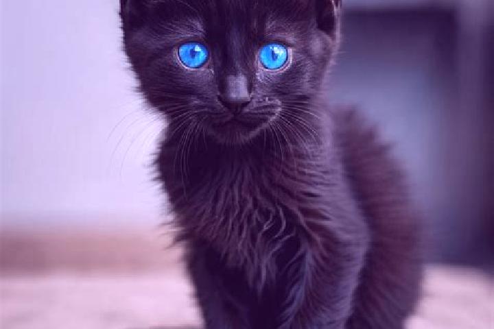 Aria, 21, a black blue-eyed caribbean companion based in Bo Phloi. Offering Dinner Date, Striptease, GFE. Available for incall and outcall, day and evening d...
