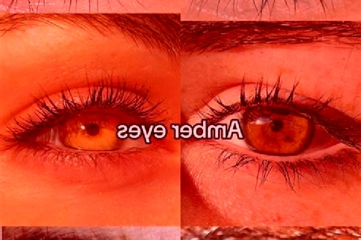 Aria, 21, a chestnut amber-eyed slavic companion based in Hathras. Offering Girlfriend Experience, Domination. Available for incall and outcall, day and even...
