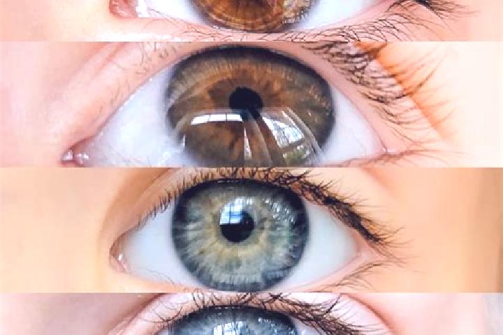 Aria, 21, a chestnut grey-eyed mixed companion based in Yertsevo. Offering Domination, Overnight, Travel Companion, OWO, Dinner Date. Available for incall an...