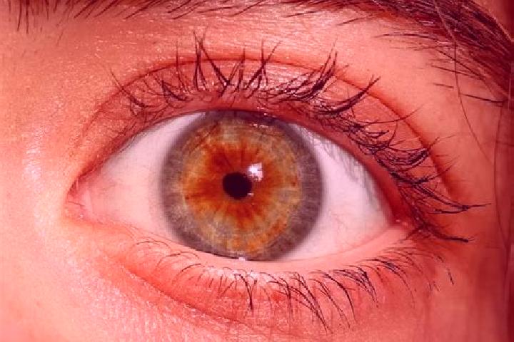 Aria, 21, a red hazel-eyed european companion based in Union Beach. Offering Domination, Girlfriend Experience, BDSM. Available for incall and outcall, day a...