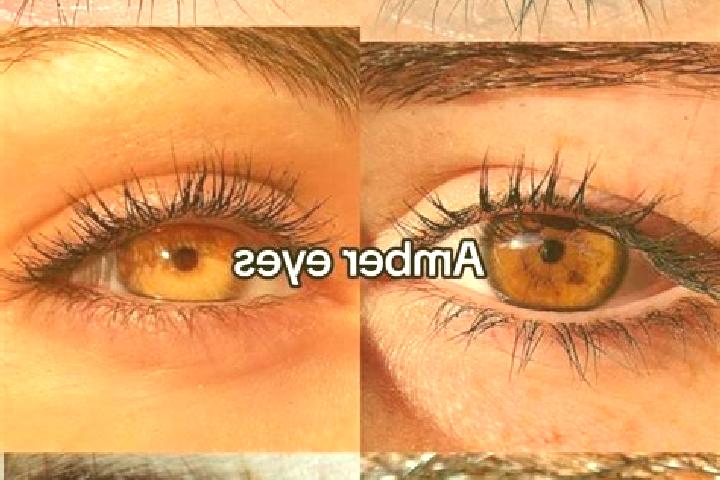 Aria, 22, a chestnut amber-eyed mediterranean companion based in Kunnimangalam. Offering Roleplay, Overnight, Striptease. Available for incall and outcall, d...