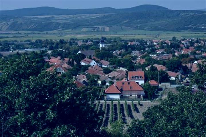 Aria, 22 — Escort in Tokaj, Hungary