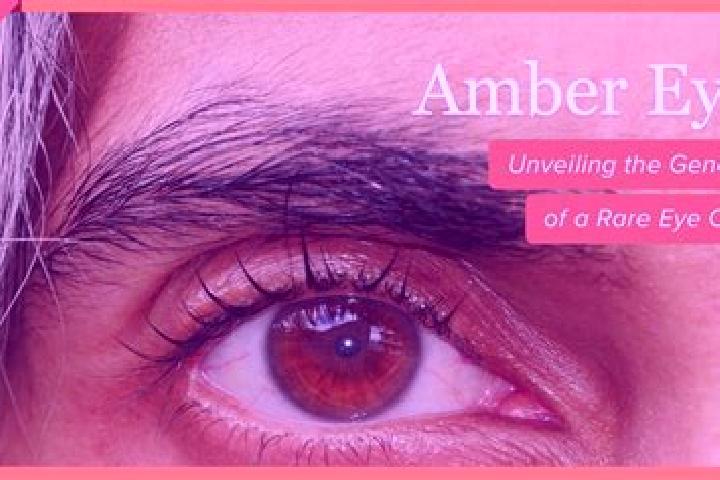 Aria, 23, a red amber-eyed caucasian companion based in Seignosse. Offering A-Level, OWO, Domination, Girlfriend Experience. Available for incall and outcall...
