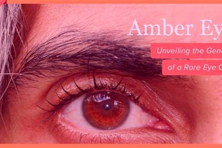 Aria, 23, a red amber-eyed ebony companion based in Ciguha. Offering Fetish, Tantra, BDSM, Overnight. Available for incall and outcall, day and evening dates.