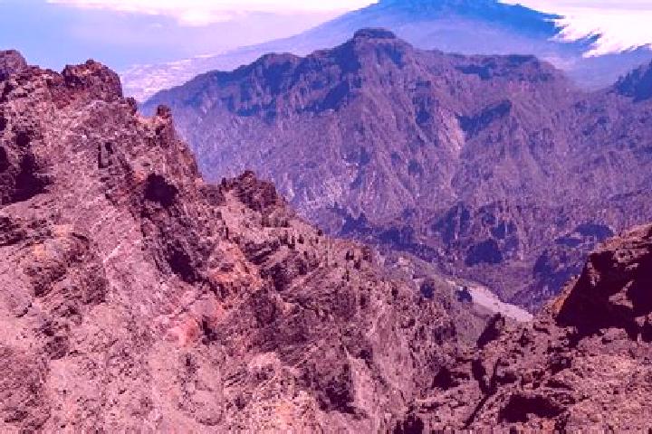 Aria, 23 — Escort in La Palma de Emenguaro, Mexico
