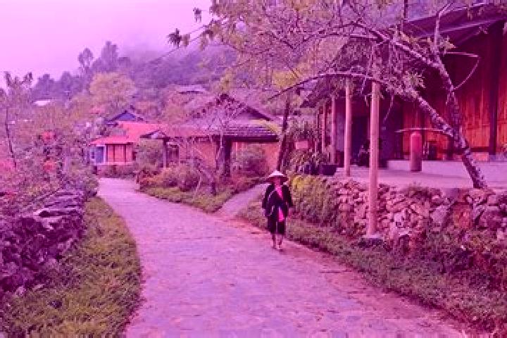 Aria, 23 — Escort in Lai Chau, Vietnam