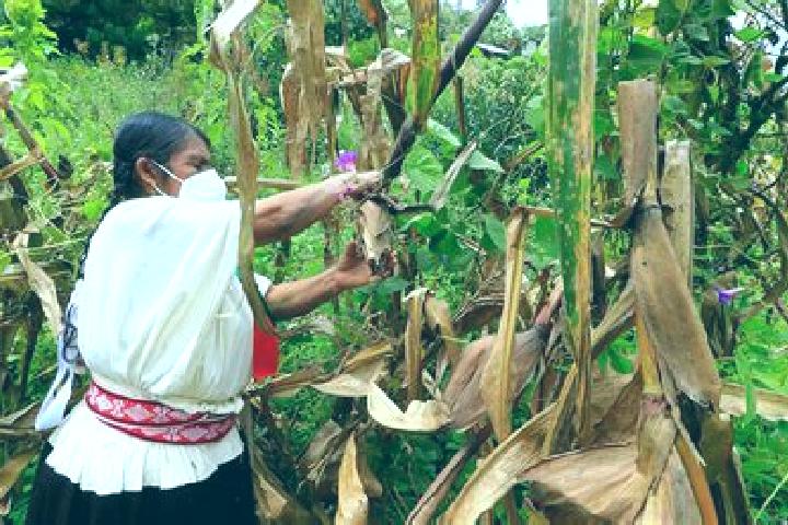 Aria, 23 — Escort in Paso de la Milpa, Mexico