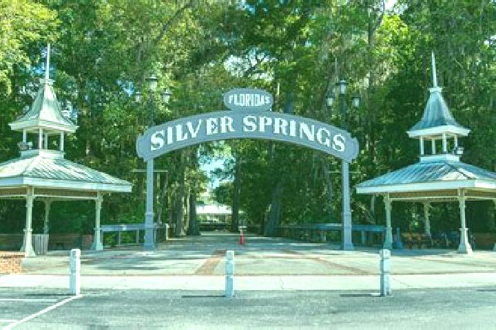 Aria, 23 — Escort in Silver Springs Shores, United States