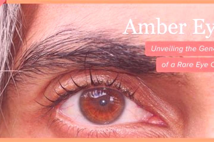 Aria, 24, a red amber-eyed caribbean companion based in Gujan-Mestras. Offering BDSM, Girlfriend Experience, Domination. Available for incall and outcall, da...