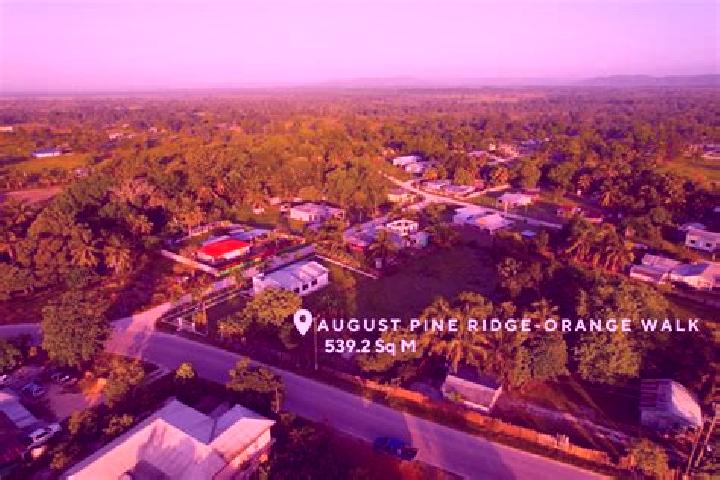 Aria, 24 — Escort in August Pine Ridge, Belize